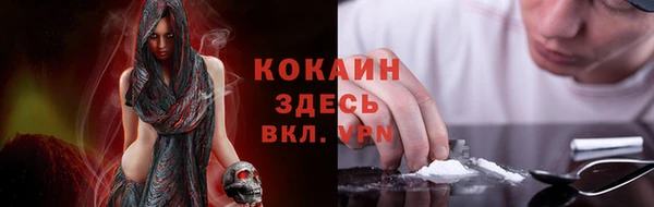 МДПВ Елизово