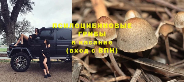 MDMA Ельня